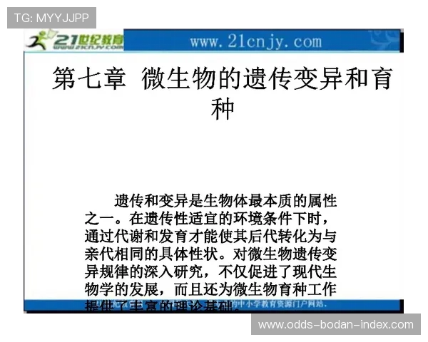 波胆和反波胆是什么意思 大赛预热避坑指南